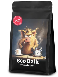 Boo Dzik