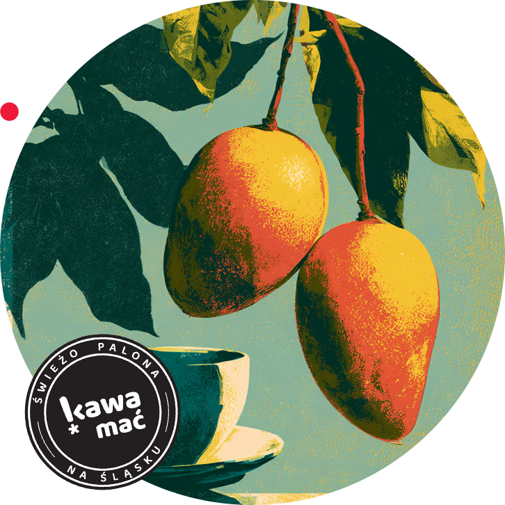 kawa o smaku mango parzona w chemexie