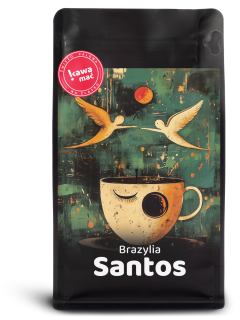 Brazylia Santos
