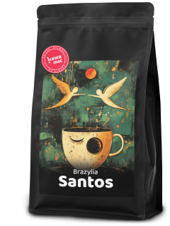 Brazylia Santos