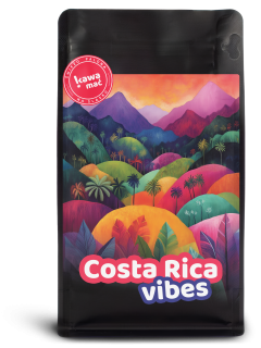 Costa Rica Vibes