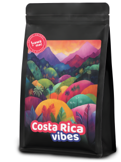 Costa Rica Vibes