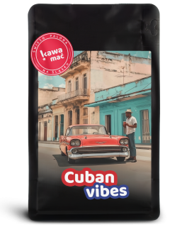 Cuban Vibes