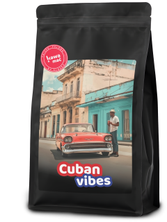 Cuban Vibes