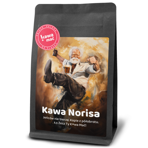Kawa Norisa