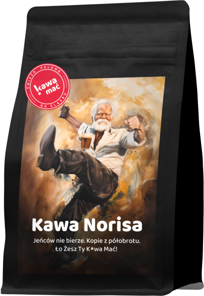 Kawa Norisa