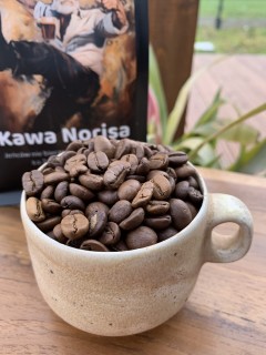 Kawa Norisa
